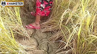 Bengali Audio Fuck in Paddy Field Nomita Bhabhi