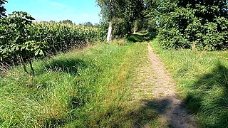 Hanging Udders Beaten Nicely