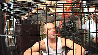 Rought Sex with BBC While Her Husband Watches