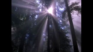 Crazy Wild Beach Sex with Blonde Babe Titus Steel - Outdoor Fuck & Cum in Mouth