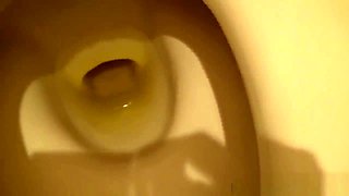 Asian pisses into toilet