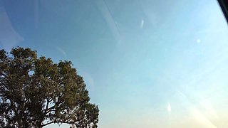 Emma Bloom's surprise car blow job!