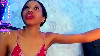 Shemale tranny gets blowjob before sucking