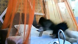 Sensuous amateur ex girlfriend hidden cam