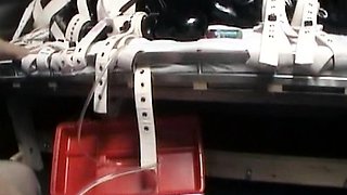 Femdom fetish mistresses fuck bdsm loser with strapon