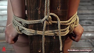 Bound blond hair lady nipples and feet tormented