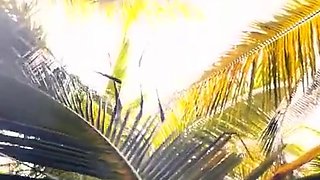 Public Flashing Of Big Natural Tits In The Moment Of Escape