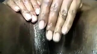 Oiled up and spread black chick