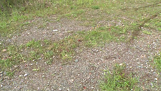 German - Caretaker Kowalski full movie