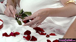 Stranger arrives and fucked by shemale