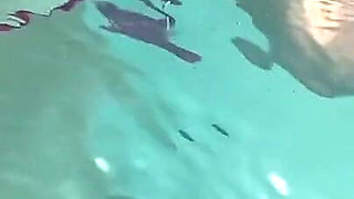 Artemisia Love Showing Her Perfect Tits in a Micro Bikini Underwater