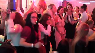 Glamour party babes drool on strippers cock