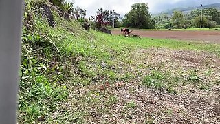 je vais te vider les couilles vite fait bien fait