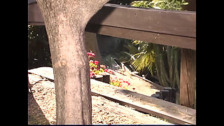 Lexxi and Tiffany: Warm Sapphic Sensations for Sublime Bodies