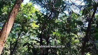 Dutra Sura In Short Video: My Hot Stepdaughter Kept Teasing Me Until I Fucked Her Virgin Ass In The Middle Of The Woods. Vagninho And Subtitled)