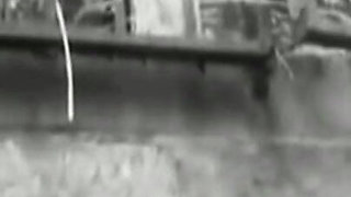Trailer 382