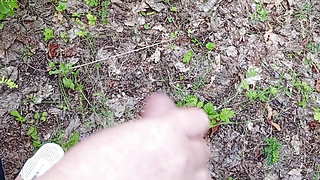 A friend sucks my dick in a public park and swallows cum