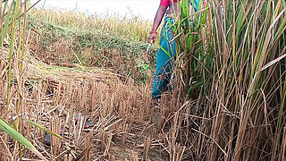 First Time Desi Bhabhi Fucked Hard in Paddy Fields - Homemade Indian Sex