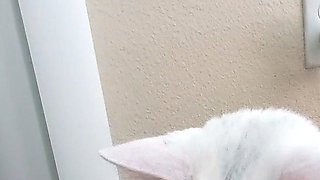 Amazing BBW Webcam Big Boobs Porn Video Livesex Livecam