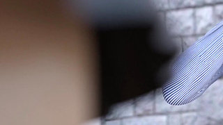 Laura Lustful Secrets (part 57 New Update)