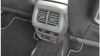 Miiana -defi I Fuck With The Car Dealership