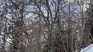 Public Blowjob on a Walking Trail with a Busty Amateur Teen