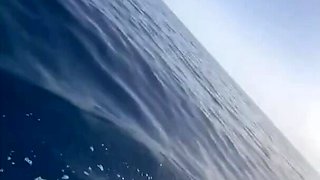 Perfect booty babe rides jet ski and monster white dick at once
