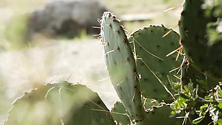 Dream Dates - PlayboyTV