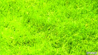 Ashley Sage and Nefertiti - Interracial lesbian sex