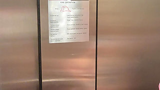 Naughty Elevator Ride Will She Get Caught?