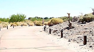 Harlen Radcliff And Josh Cannon - Skyway Swingers, Freeway Flyers