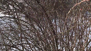 Life Porn Stories 6 - Part 1 Best Tits on the Road - Hot Car Sex & Face Shots