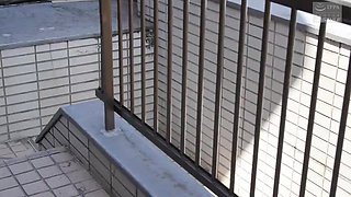 317-wending-sfswindo-doo-