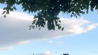 This Was a Beautiful Day to Piss Outside!