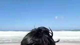 Amber Thickk Beach Sex