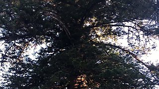 A group of real party amateur teens riding cock outdoor