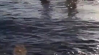 Romantic Sex at a Public Beach