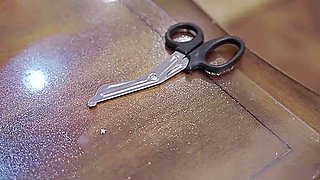 chinese bondage shibari