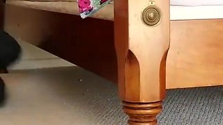 Cute white teen rides a monster black cock