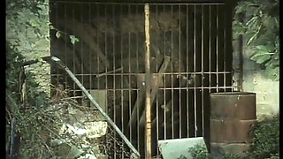 Wild Sex in This Strange Vintage Community
