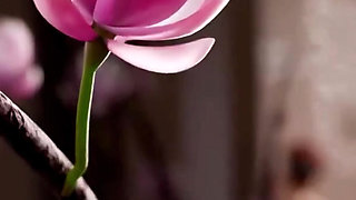 Big Breast Loba Rubbing Bald Pussy, Big Breast Morrigan Shaking Her Tits, Black Fire Fingering Her Stepsis, Compilation