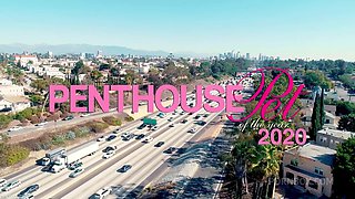 Pet of the Year 2020