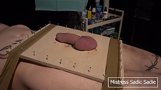 Hardcore CBT with Fishhooks and Needles