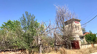 Naked in the nature on 2025