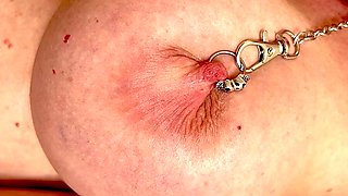 Very Hard Play Nipples by Chain Bondage My Pierced Nipples