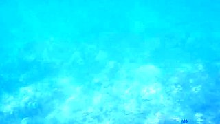 Gabbie Carter In Hawaii